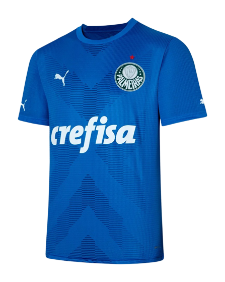 Palmeiras Soccer Jersey Goalkeeper Blue Replica 2023/24