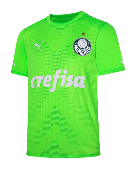 Palmeiras Soccer Jersey Goalkeeper Green Replica 2023/24