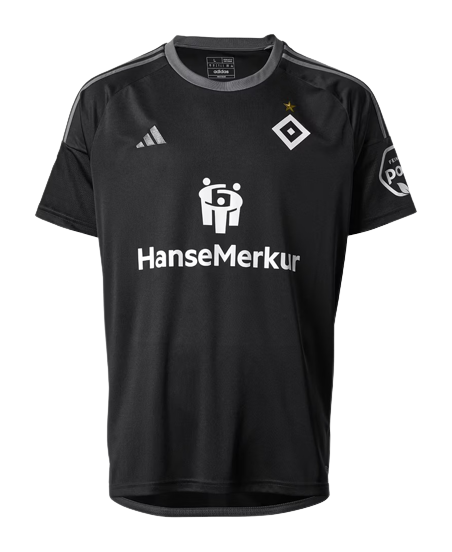 Hamburger SV Soccer Jersey Third Replica 2023/24
