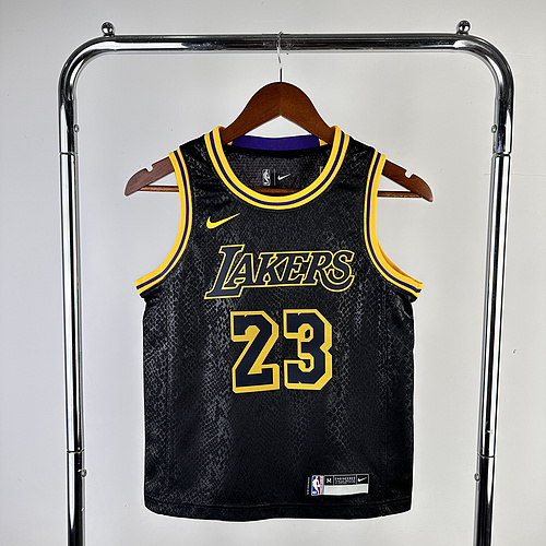 Youth Los Angeles Lakers Snake Stripe 23 James