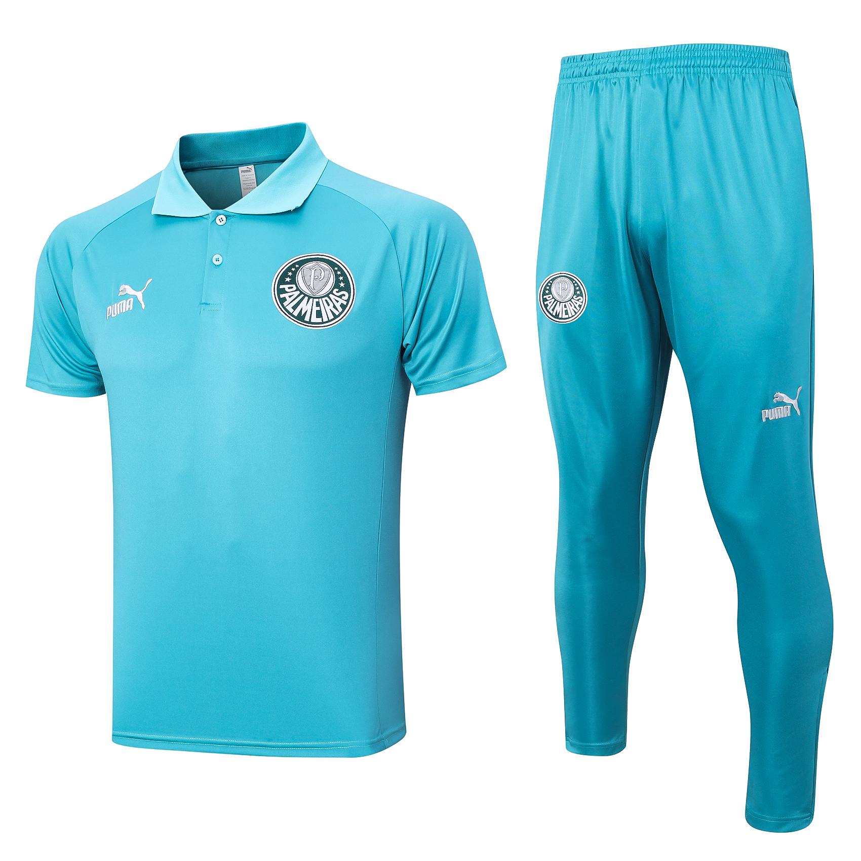 SE Palmeiras Soccer Polo Suit Light Green 2023/24
