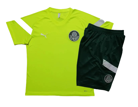 Palmeiras Soccer Short Sleeve Training Suit Green 2023/24