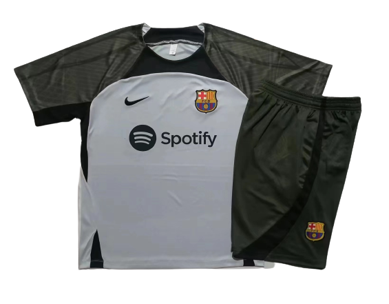 Barcelona Soccer Short Sleeve Training Suit Grey 2023/24